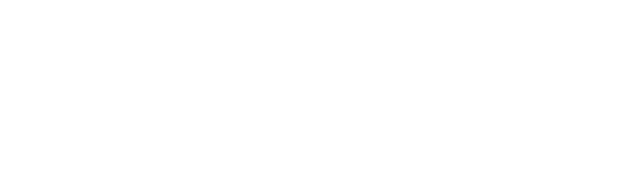 LUIS MACHUCA